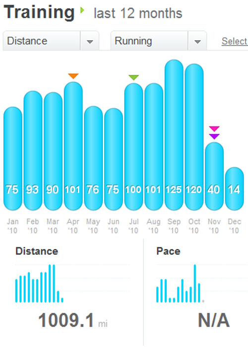 2010_final miles Daily Mile, 2010