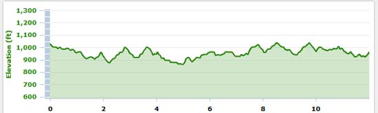 long run, Baltimore Marathon training