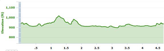 Elevation profile of today's run running, Roanoke, elevation