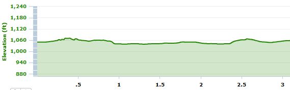 Fab 5k elevation Fab 5k, running