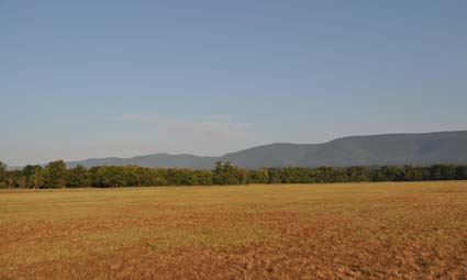 Fab 5k field Fab 5k, running