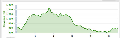 LU monogram elevation Liberty, monogram, running