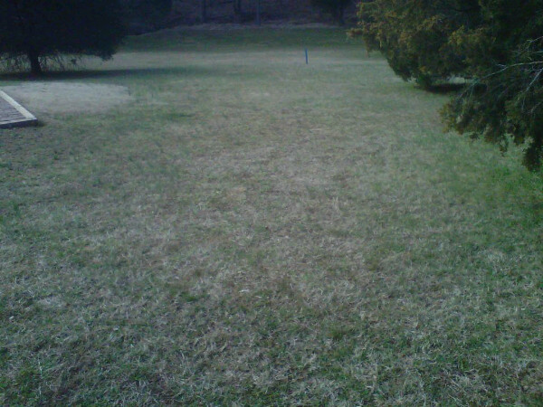 hill repeats, running